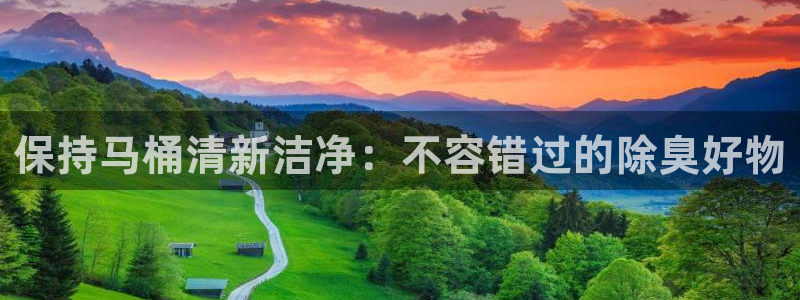 尊龙登录首页：保持马桶清新洁净：不容错过的除臭好物