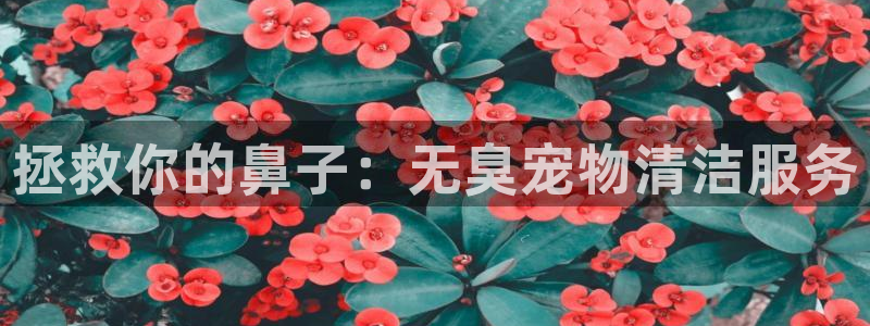 尊龙d88手机版下载