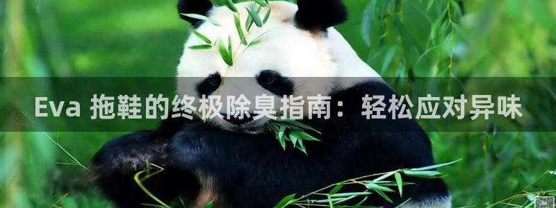 凯时K66最新版本下载