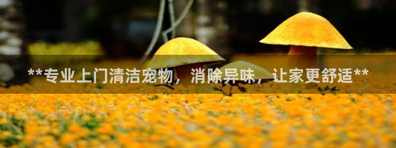 尊龙游戏app官方网站