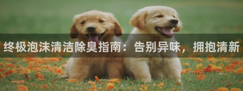 尊龙凯时下载人生就是博