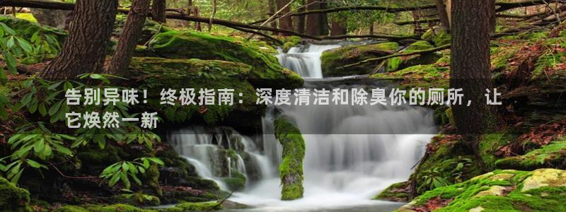 尊龙官网注册：告别异味！终极指南：深度清洁和除臭你的厕所