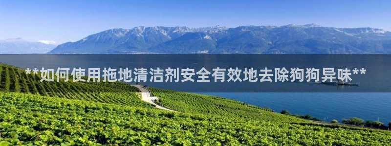 尊龙集团有限公司官网