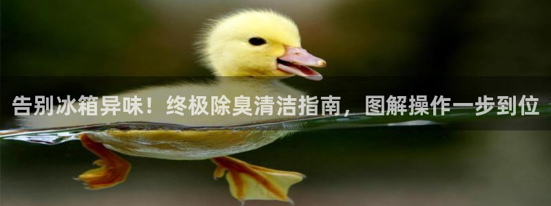 AG尊龙凯时注册：告别冰箱异味！终极除臭清洁指南，图解操
