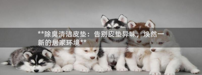 凯时网上官方网站