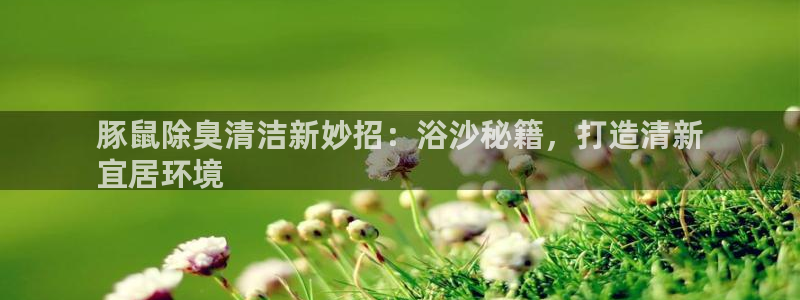 尊龙凯时手机版·(中国)官方网站