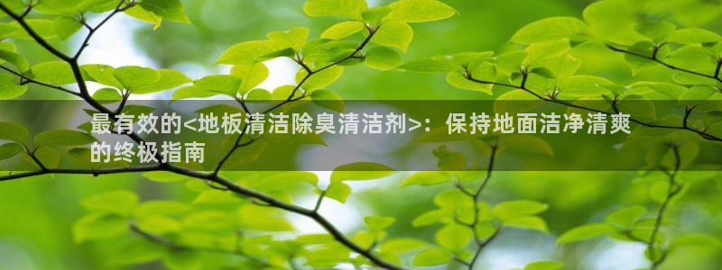 尊龙凯时输钱的原因