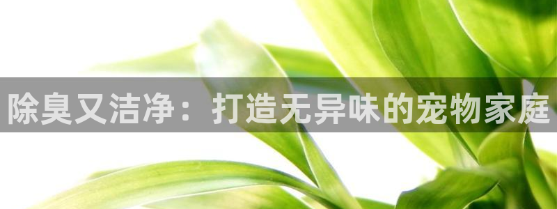 尊龙用现金一下可靠送38元