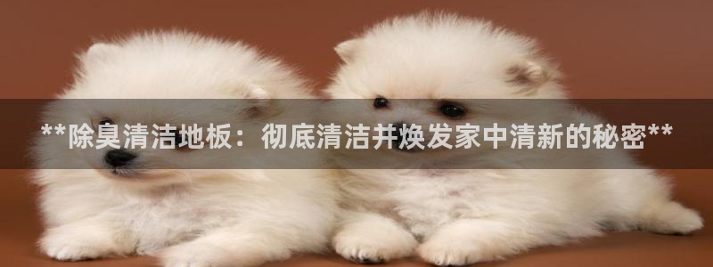 尊龙人生就是博登录准认来就送38
