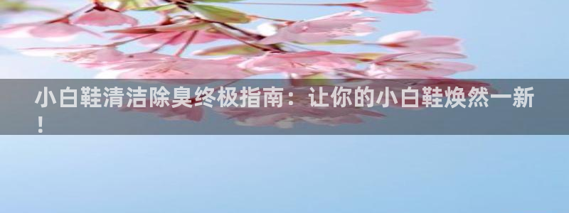 ag旗舰平台尊龙代言