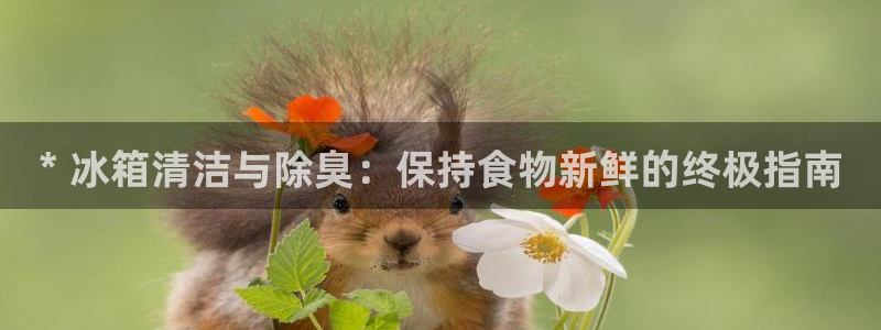 KB88凯时官网
