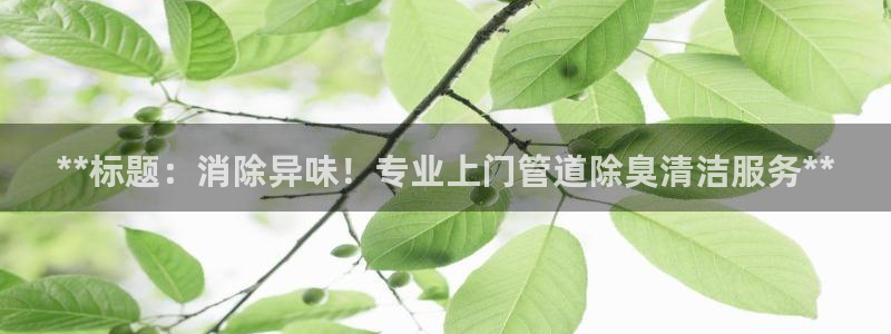 尊龙品牌怎么样