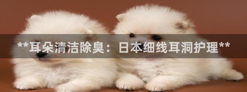 尊龙凯时平台官网