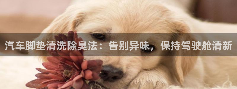尊龙人生就是博网站下载