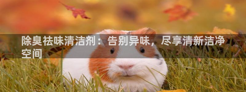 尊龙平台有谁玩过