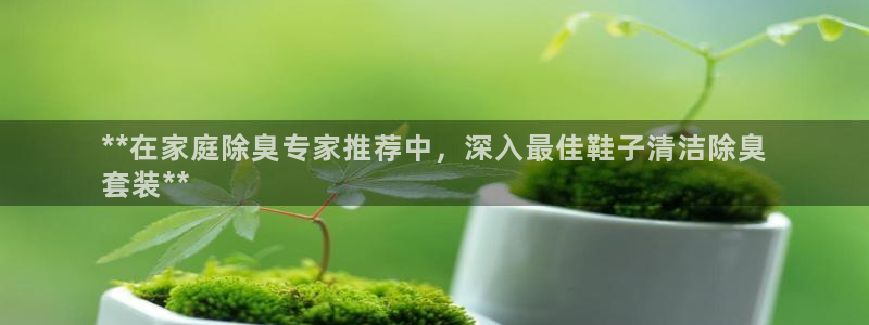 尊龙目前情况