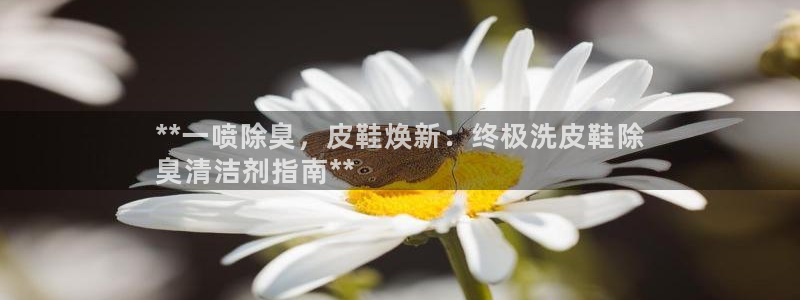 尊龙凯时福米推荐人