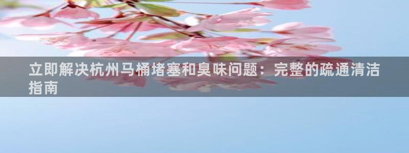 尊龙凯时提现不了：立即解决杭州马桶堵塞和臭味问题：完整的