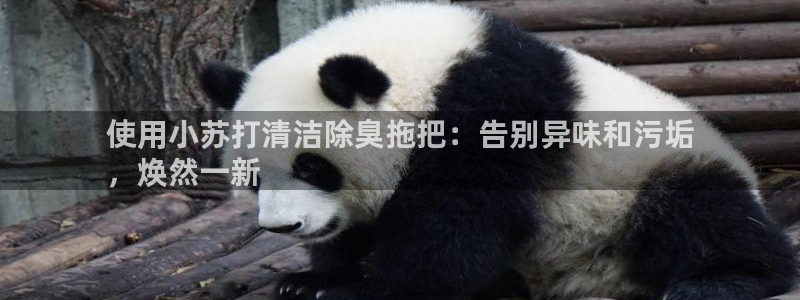 尊龙凯时app安装