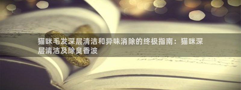 凯时国际官方版：猫咪