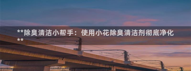 尊龙版末代皇帝：**除臭清洁小帮手：使用小花除臭清洁剂彻