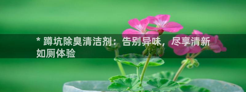 尊龙官方网站：* 蹲坑除臭清洁剂：告别异味，尽享清新
如