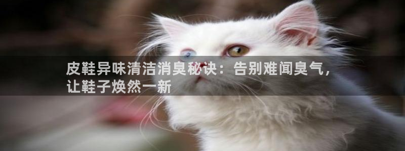 尊龙凯时只输不赢：皮鞋异味清洁消臭秘诀：告别难闻臭气，
