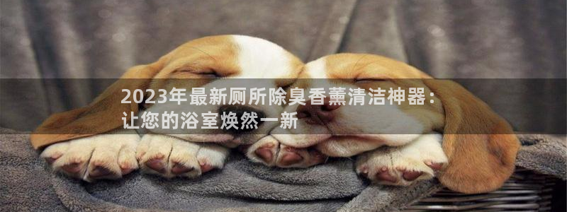 尊龙 10：2023年最新厕所除臭香薰清洁神器：
让您的