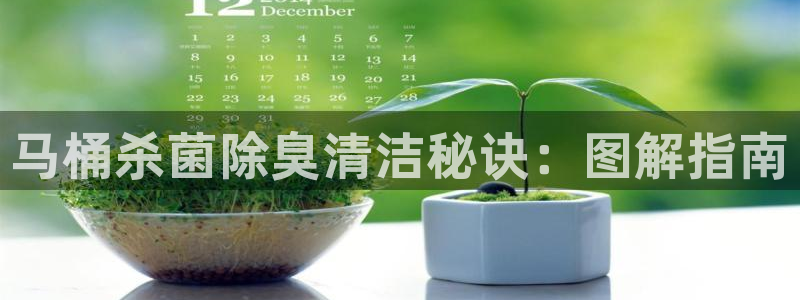 尊龙人生就是一博!：马桶杀菌除臭清洁秘诀：图解指南