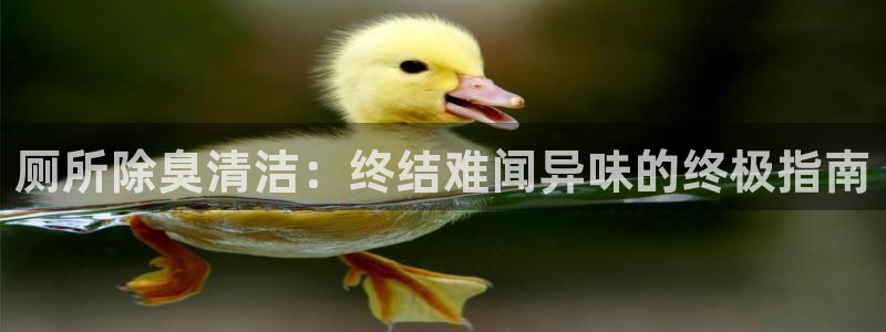 尊龙凯时ag旗舰厅官网客服
