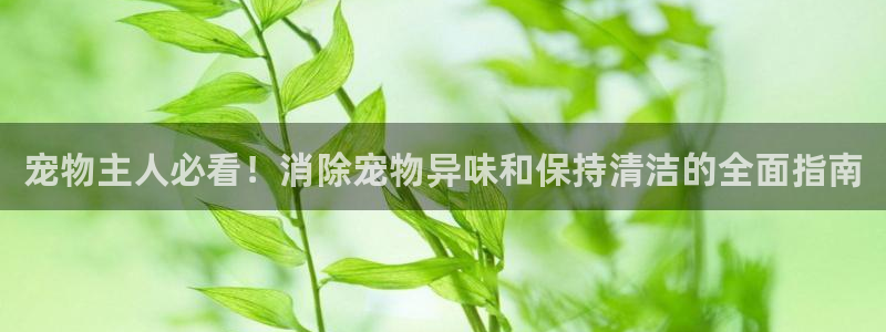 尊龙凯时的最新消息：宠物主人必看！消除宠物异味和保持清洁