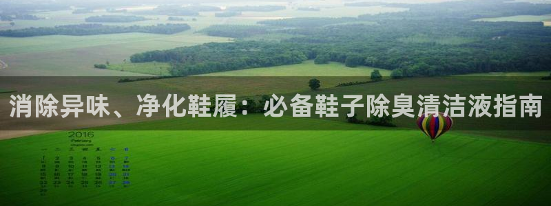 尊龙d88手机app免费下载：消除异味、净化鞋履：必备鞋