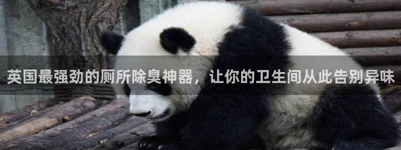 尊龙d88官网登录：英国最强劲的厕所除臭神器，让你的卫生