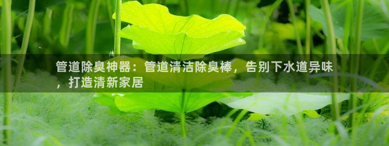 尊龙实业有限公司属于国企吗：管道除臭神器：管道清洁除臭棒