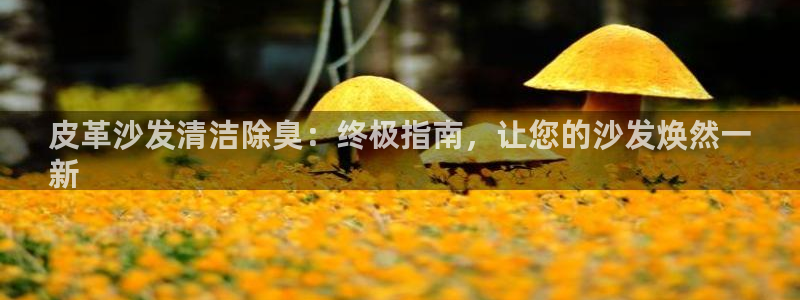 尊龙凯时·中国官方网站