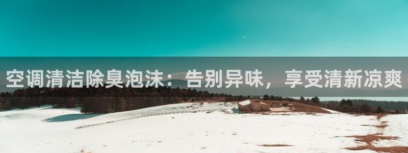 尊龙ag旗舰厅官网·(中国)官方入口：空调清洁除臭泡沫：