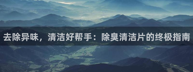 尊龙品牌怎么样：去除异味，清洁好帮手：除臭清洁片的终极指