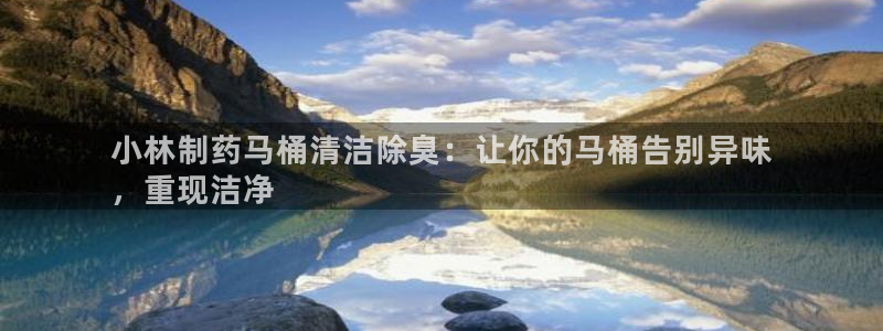 尊龙t600怎么样：小林制药马桶清洁除臭：让你的马桶告别