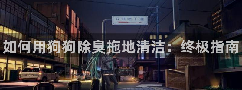 kb88凯时唯一官网注册：如何用狗狗除臭拖地清洁：终极指