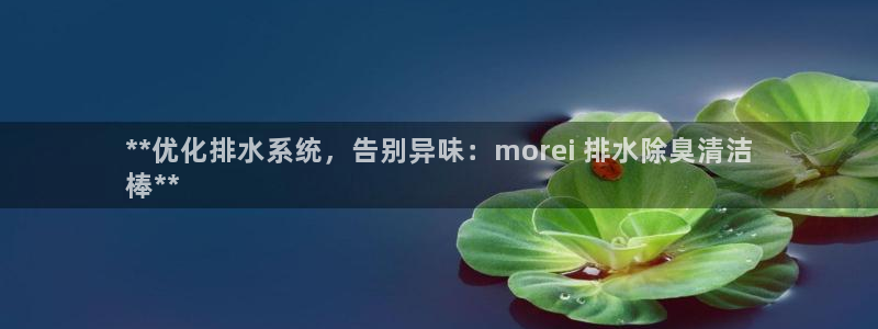 尊龙凯时旗舰厅百家乐下载：**优化排水系统，告别异味：m