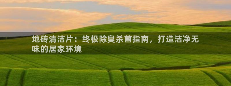 尊龙凯时法充十万返现多少：地砖清洁片：终极除臭杀菌指南，