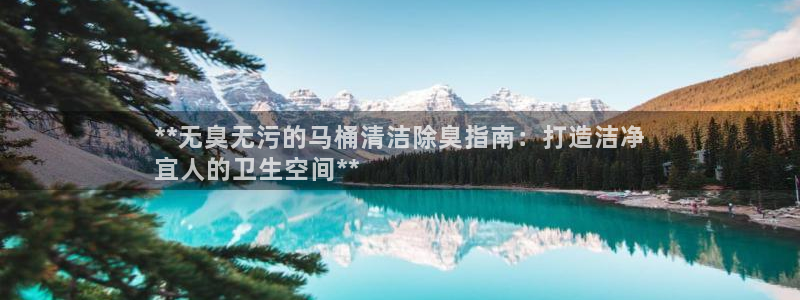 尊龙凯时官网正规吗：**无臭无污的马桶清洁除臭指南：打造
