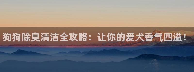 尊龙凯时老板是谁：狗狗除臭清洁全攻略：让你的爱犬香气四溢