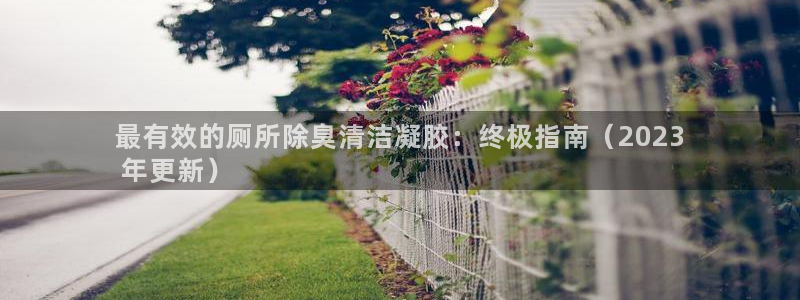 尊龙人生就是博中国区：最有效的厕所除臭清洁凝胶：终极指南