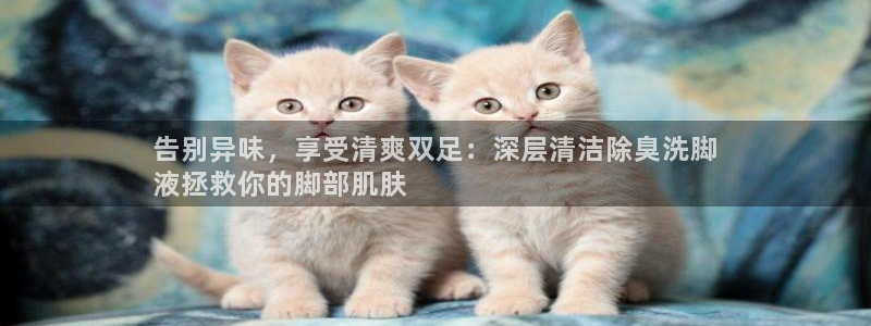 尊龙凯时ag旗舰厅登陆：告别异味，享受清爽双足：深层清洁