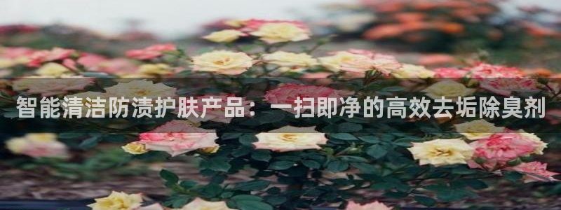 尊龙凯时正规吗