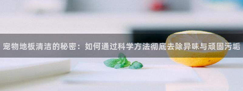 尊龙d88官网新版