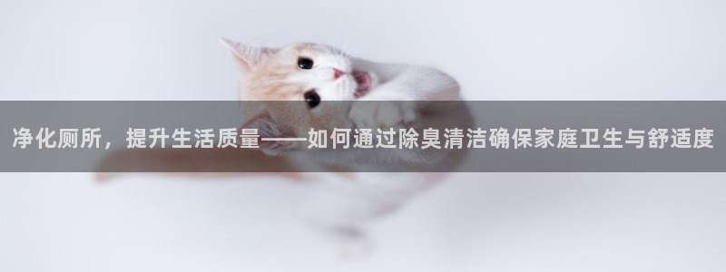 尊龙网页