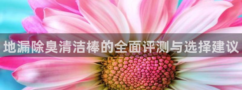 尊龙app下载官网