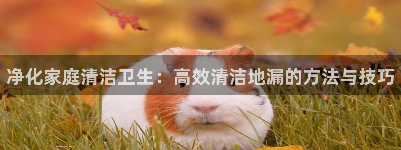 z6尊龙凯时ag旗舰厅